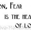 fear+is+the+heart+of+love